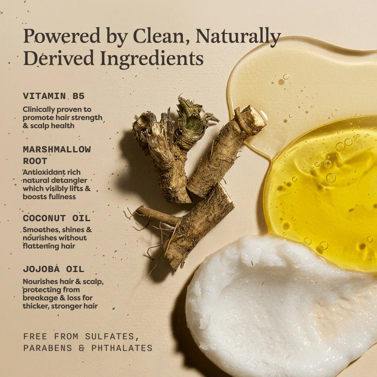 Shampoo and Conditioner for Thickness & Volume - Image 3