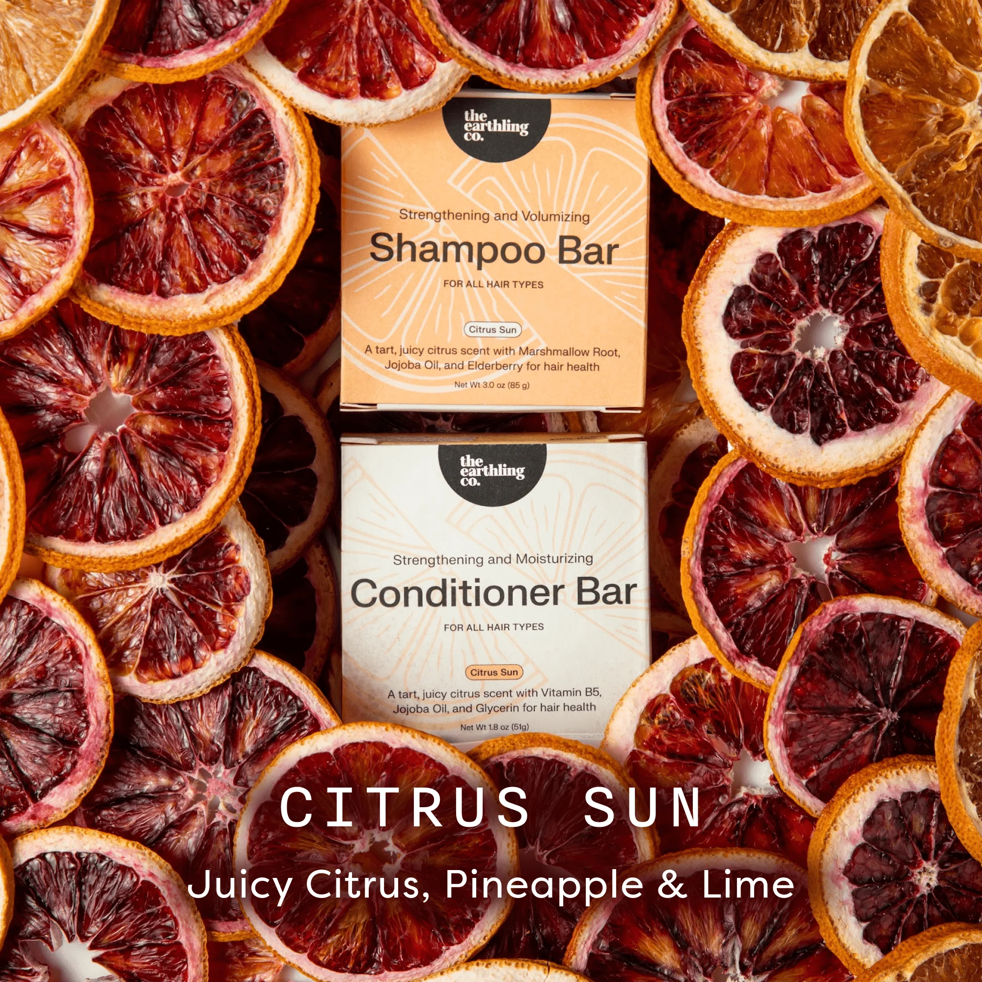 Shampoo and Conditioner for Thickness & Volume - Image 13