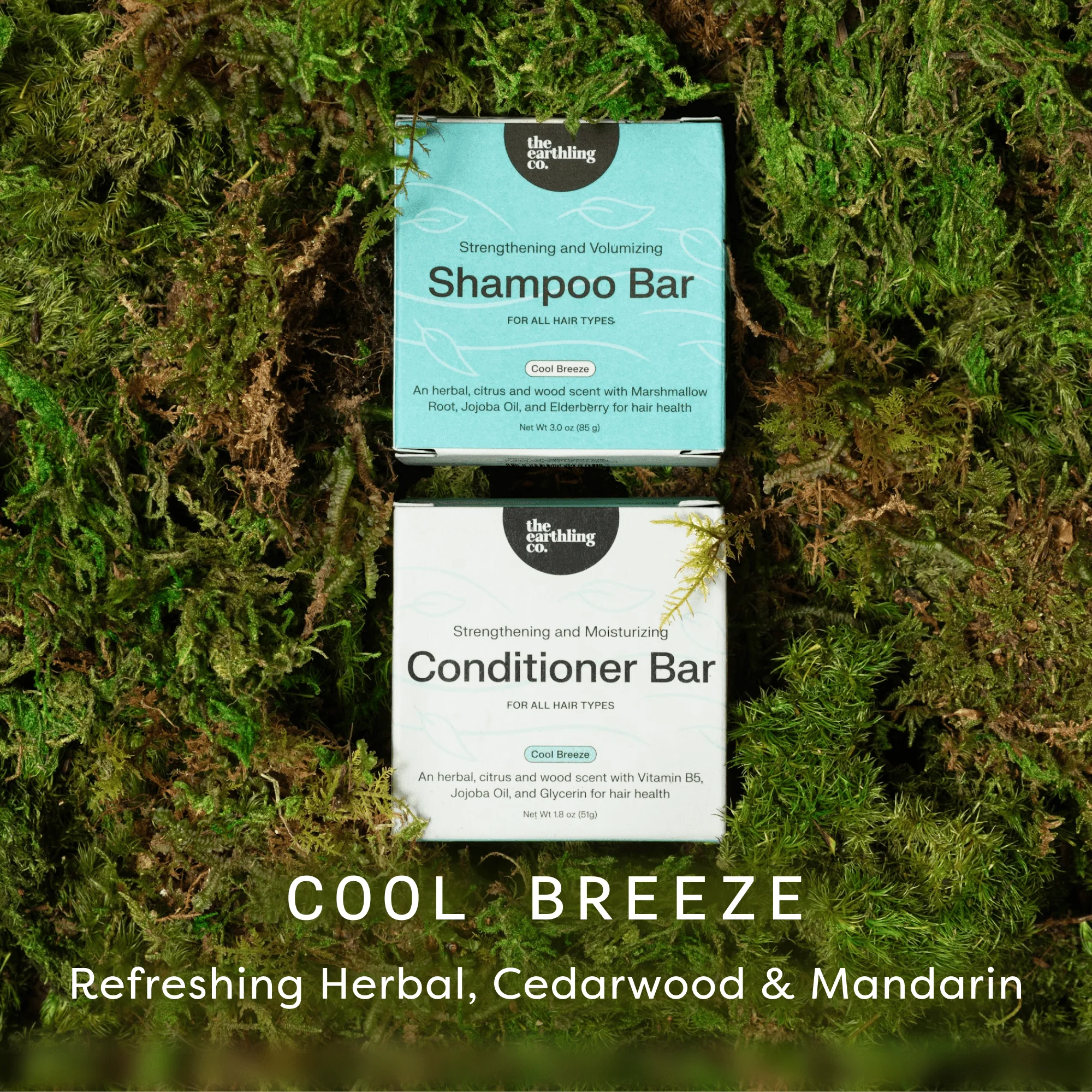 Shampoo and Conditioner for Thickness & Volume - Image 16